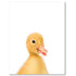 products/Image_Template_Duck.jpg