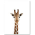 products/Image_Template_Giraffe.jpg