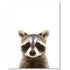 products/Image_Template_Racoon.jpg