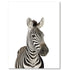 products/Image_Template_Zebra.jpg