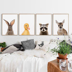 Countryside Baby Animals Canvas Wall Art